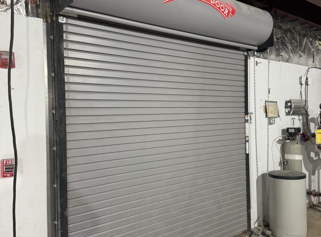 Photo Nov 14 2024, 11 49 28 AM